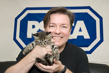 Ricky gervais cat sales breed