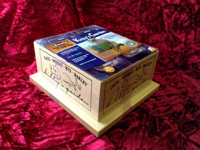 SmartCat Kitty’s Garden, at Petco