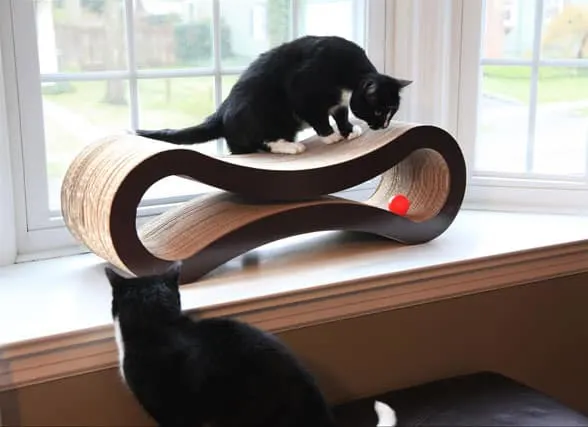 Cats exploring large scratcher