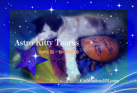 Cat Astrology: Taurus Cats