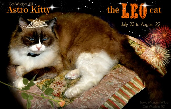 cat astrology: Leo cats
