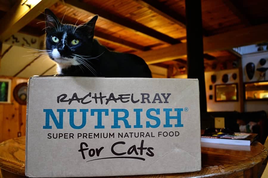 Watch for Lucky’s New Project!