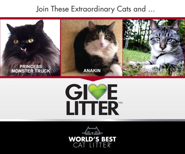 Worlds Best Cat Litter GiveLitter