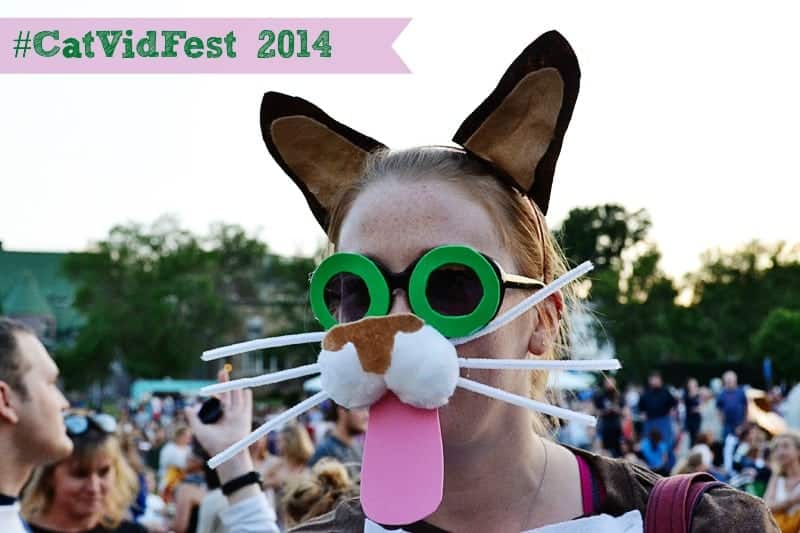Don’t Miss Our #CatVidFest 2014 Slideshow! #sponsored