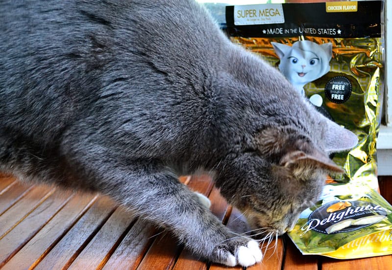 Trick or Treat with Delightibles!