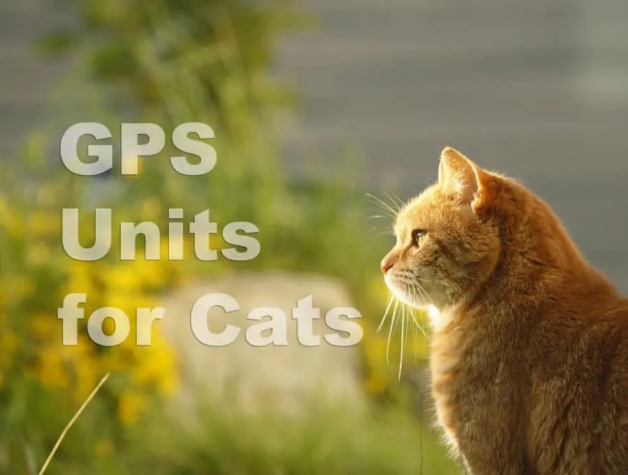 What's New: GPS Units for Cats - CatTipper