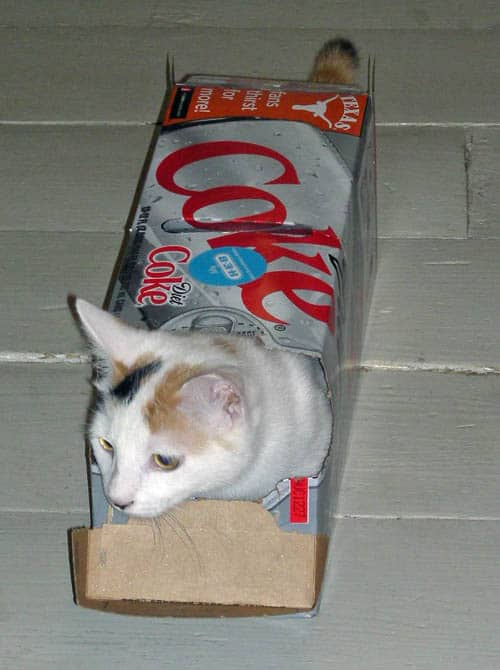 coco-coke-box