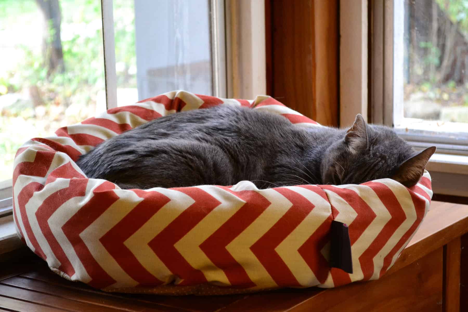 Wordless Wednesday: Approaching 15