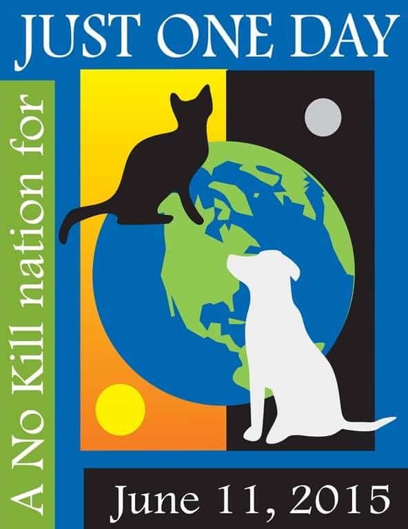Just One Day Saves Shelter Pets
