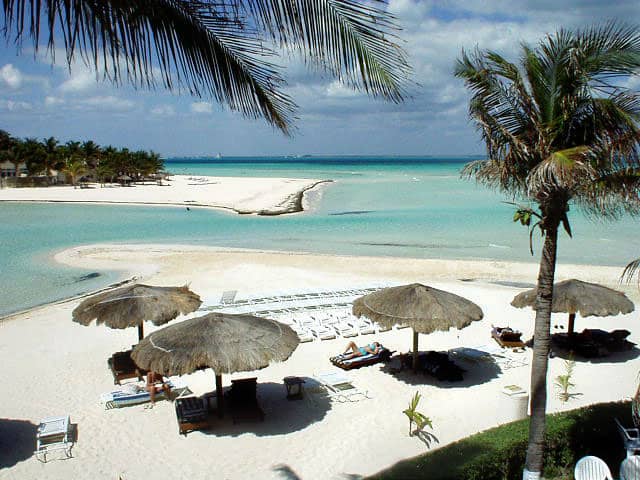 Meet the Founder of Isla Animals!