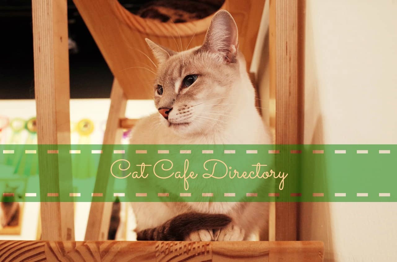 The Cat Cafe Directory CatTipper