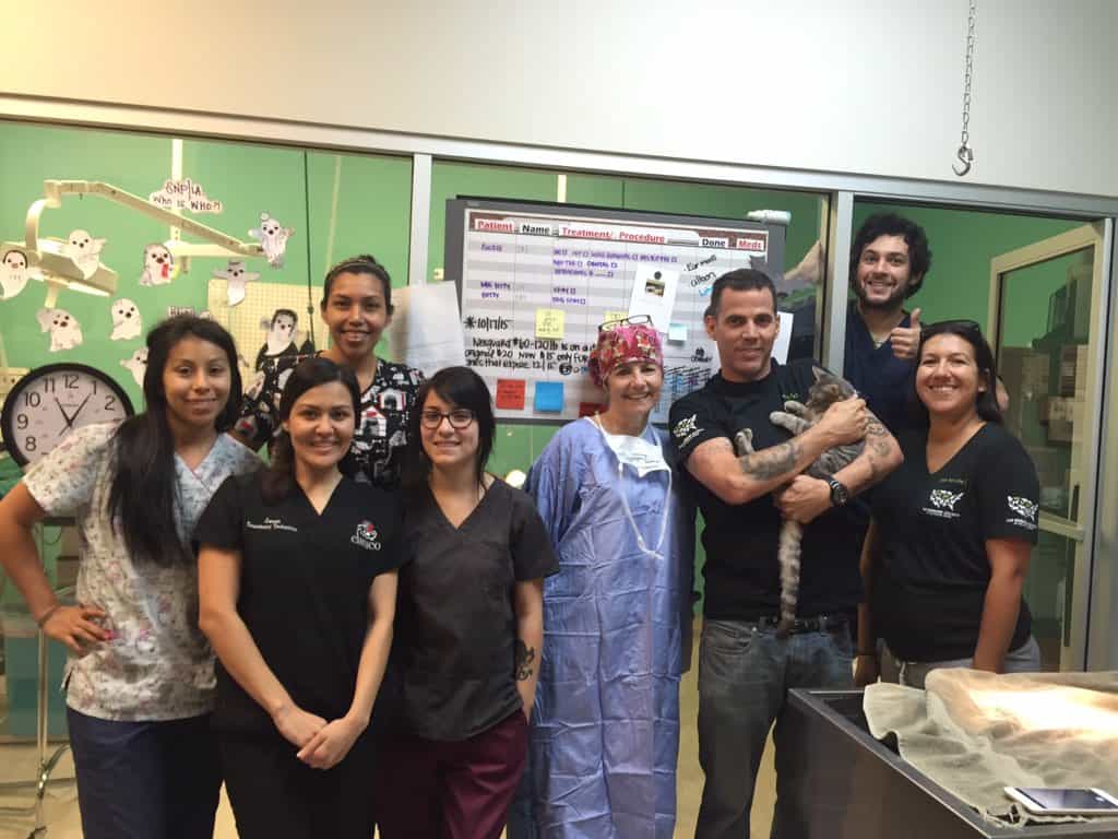 Steve-O Adopts Rescue Kitten