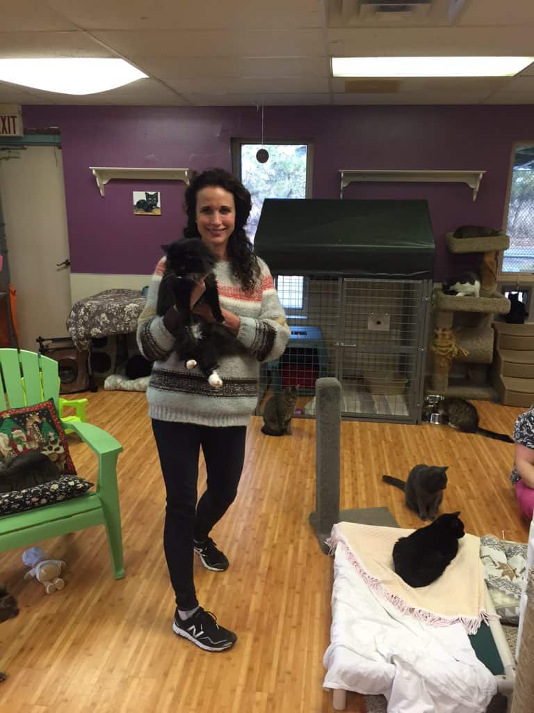 Andie MacDowell Helps Pets in Need at Thanksgiving