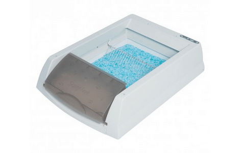 inside of ScoopFree self cleaning litter box