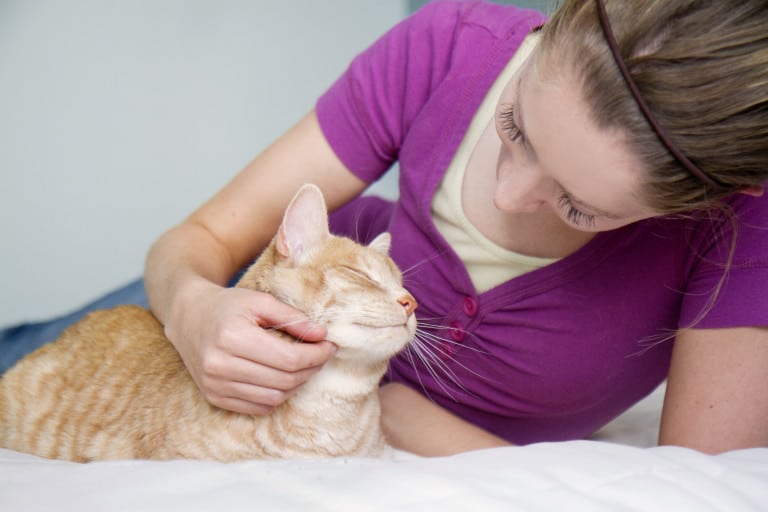 Best Friends’ Top 12 Reasons to Opt to Adopt #RelationshipGoals