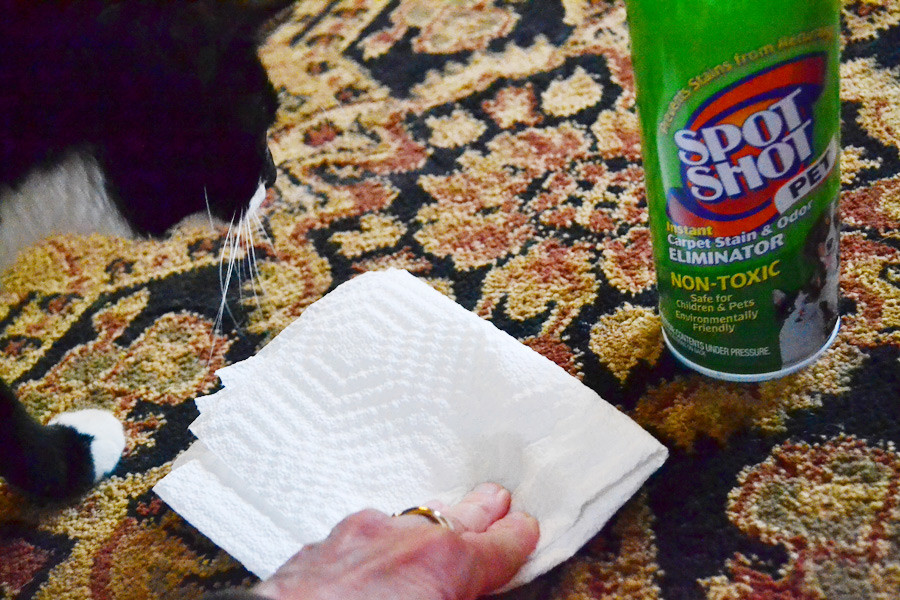 cleaning stain on rug