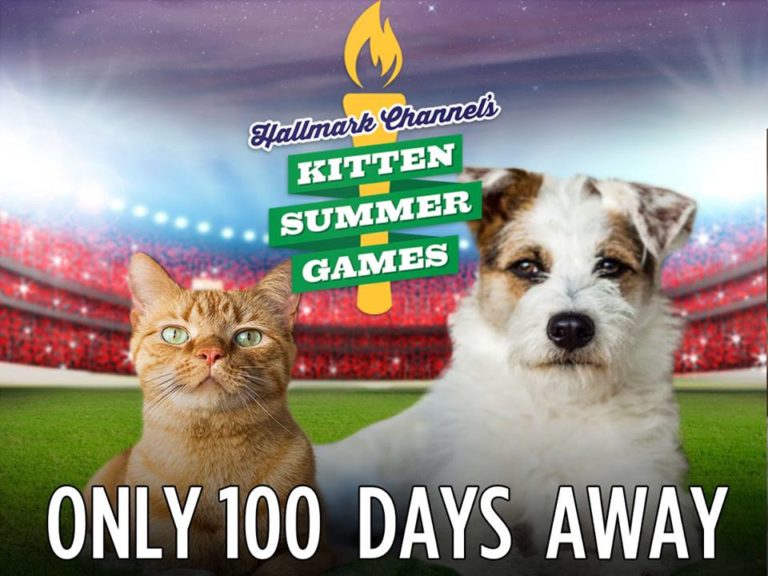 Kitten Summer Games Premieres August 5th