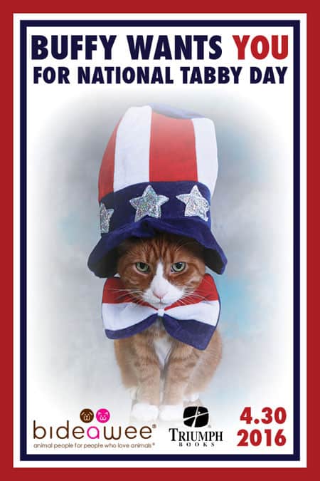 National Tabby Day graphic