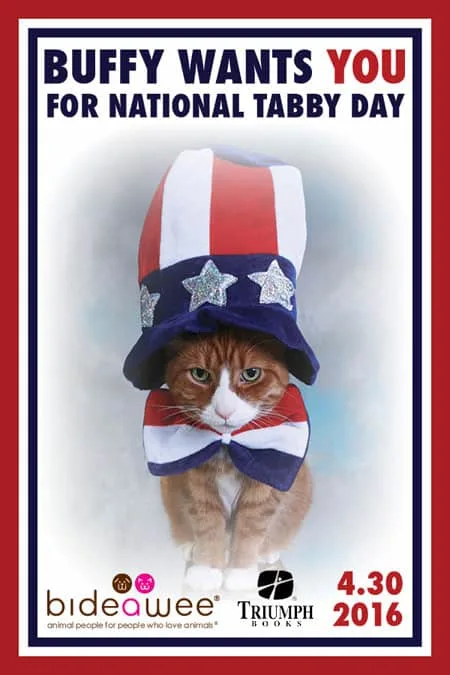 National Tabby Day graphic