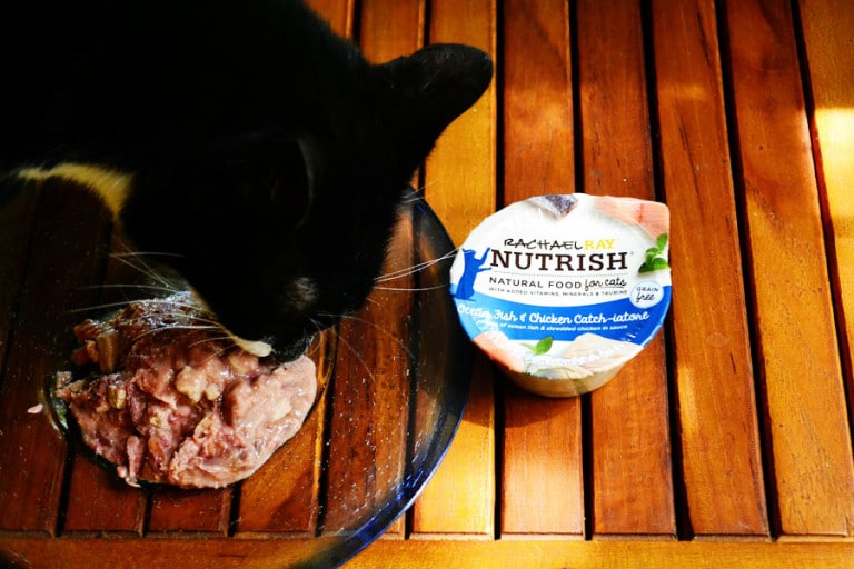 Hydrating Your Cat with Wet Food
