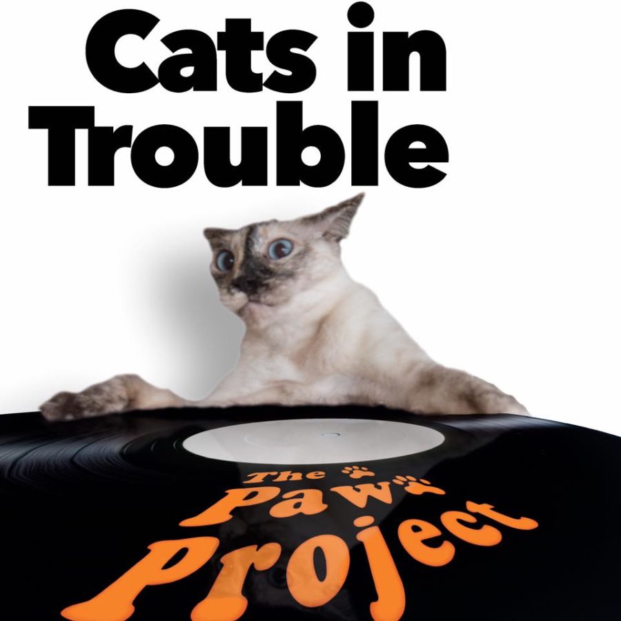 Cats in Trouble