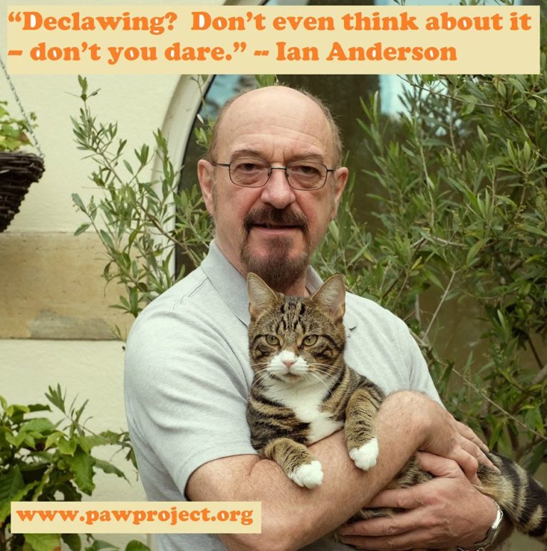 Jethro Tull Frontman Joins Effort to End Cat Declawing