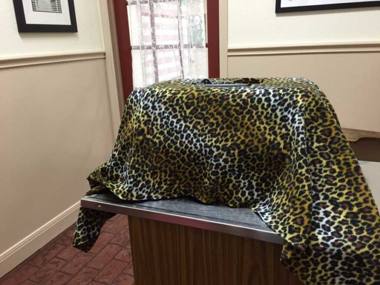 Visiting a Cat Friendly Practice