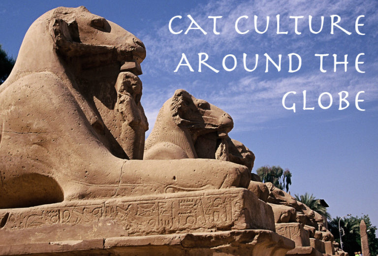 Cat Culture Around the Globe