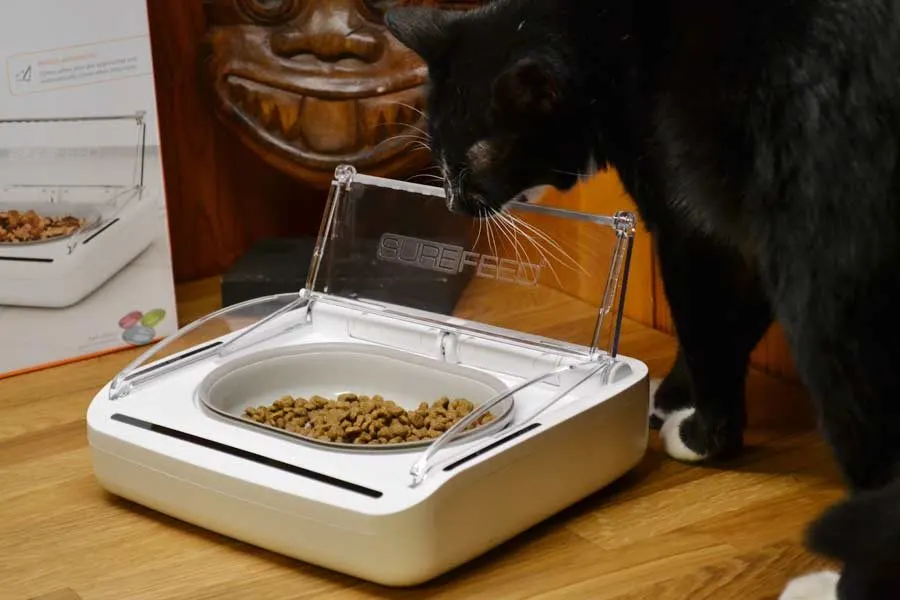 surefeed bowl opening to protect cat food
