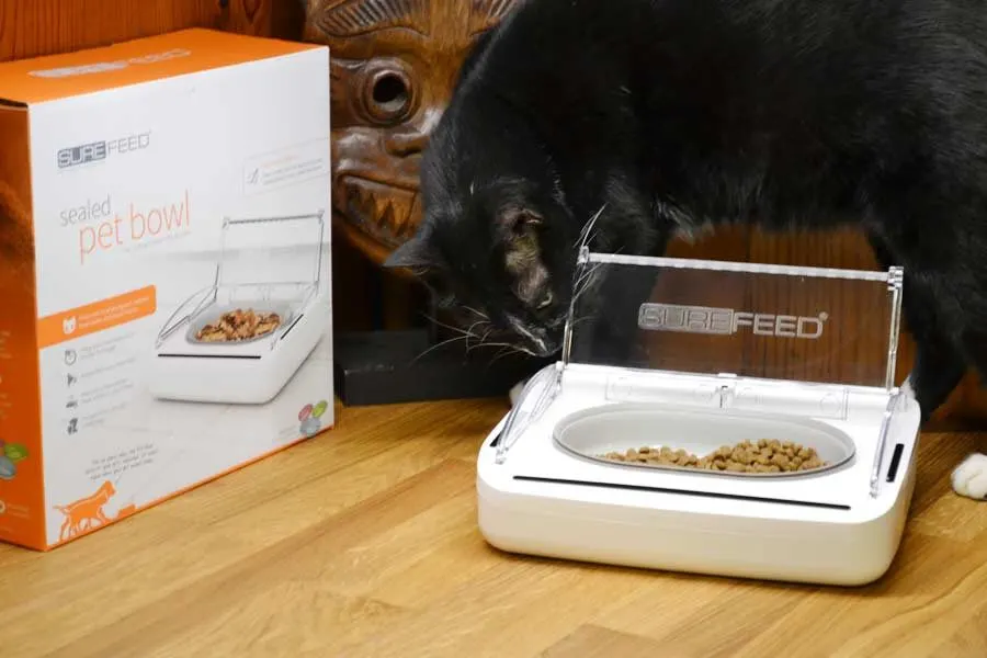 sealed pet bowl motion activated