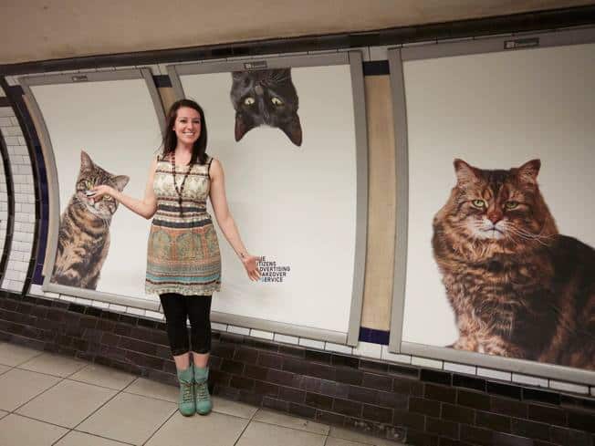 London Station Displays Adoptable Cat Posters