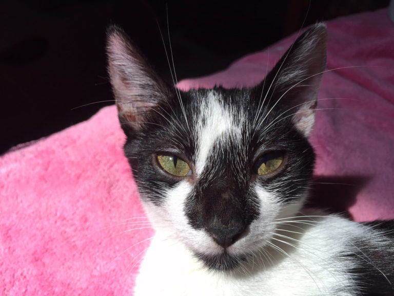 Are Some Rescue Policies Ageist?