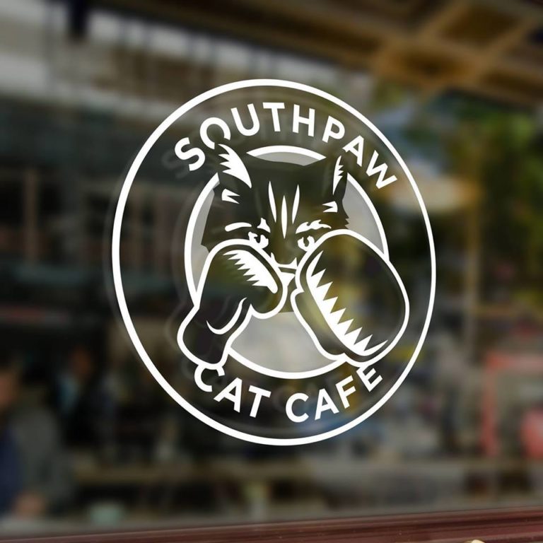 [Closed] Southpaw Cat Cafe, Kingston, Ontario