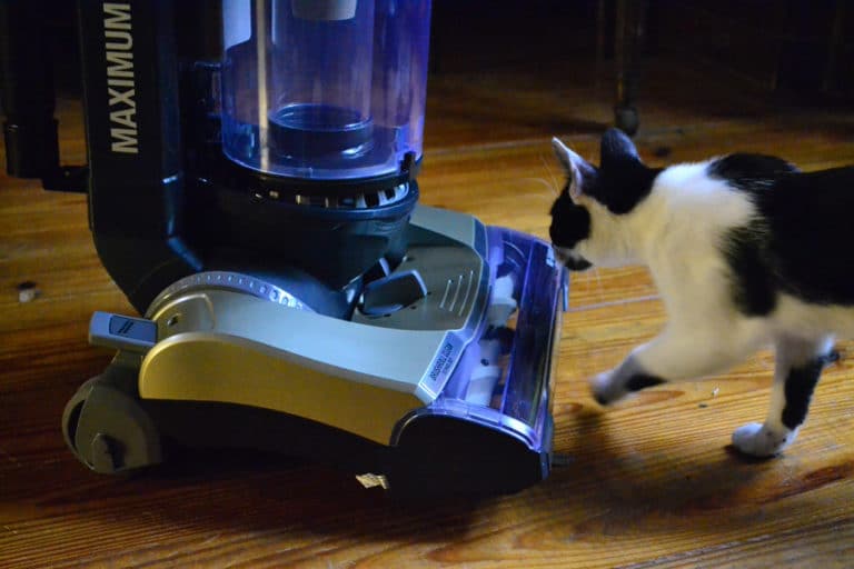 Review: Eureka Ultimate Clean Pet Vacuum Cleaner