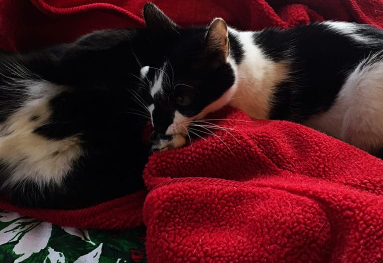 Wordless Wednesday: Baby, It’s Cold Outside