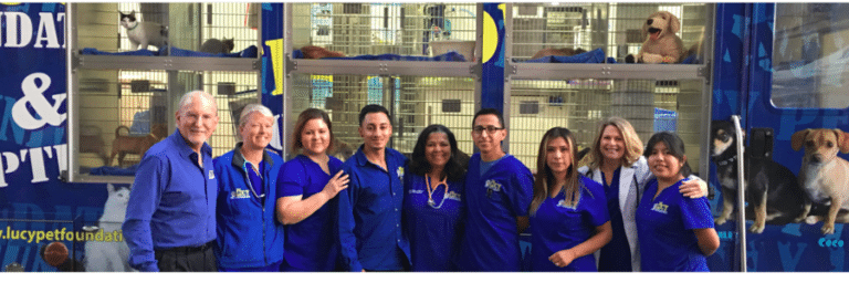 Lucy Pet Foundation Marks #WorldSpayDay