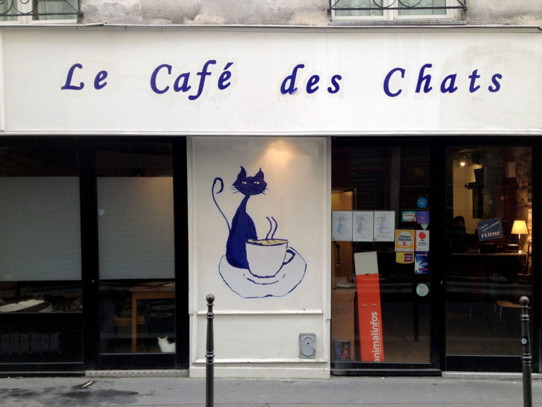 Le Cafe des Chats – an Elegant Cat Cafe in Paris