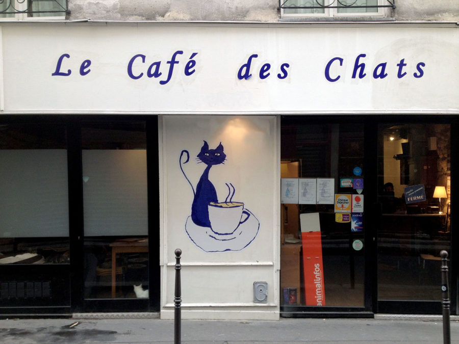 Le Cafe des Chats first of cat cafes in France