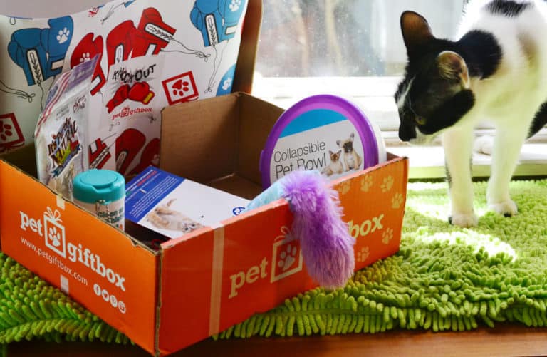 Cheers Actor Now Heads Subscription Box for Cats and More