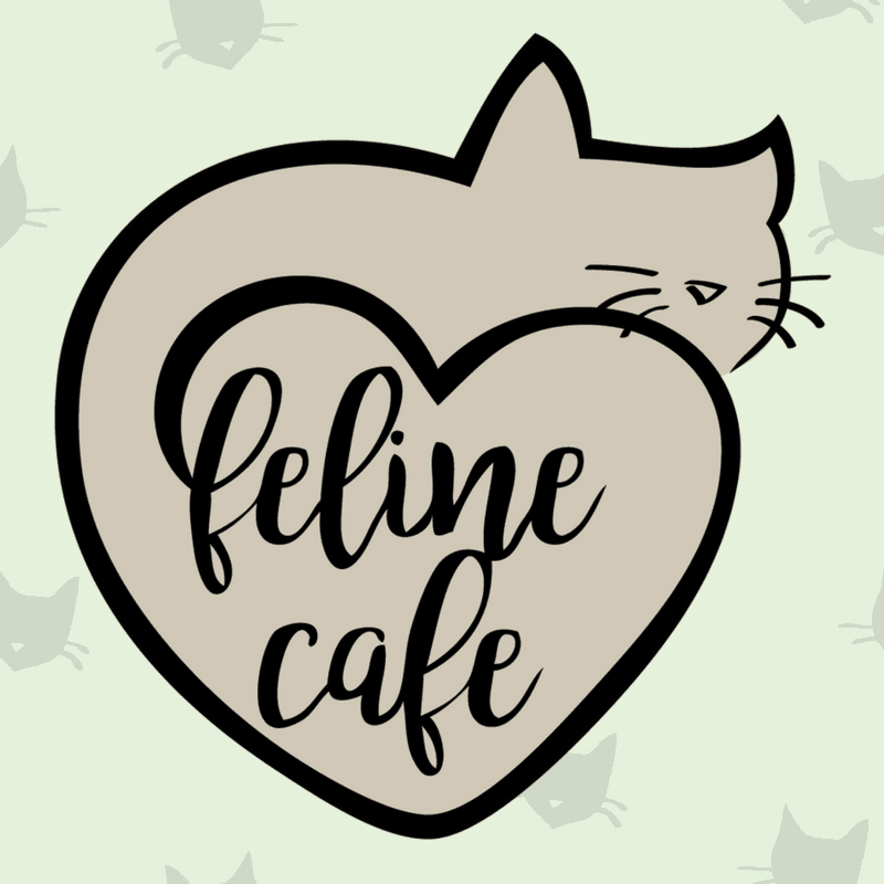 Feline Cafe, Ottawa, Canada