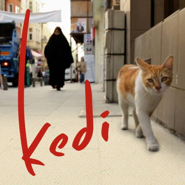 Documentary ‘Kedi’ Comes to YouTube Red