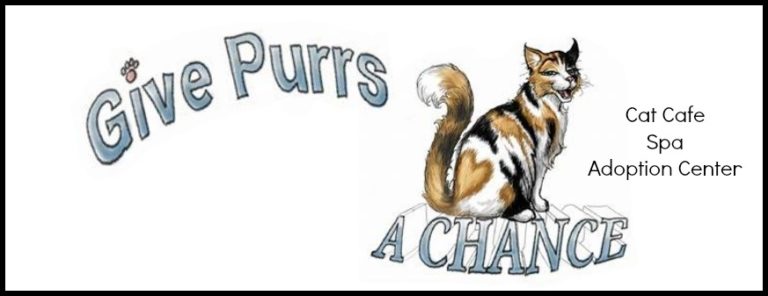 Give Purrs a Chance Cat Cafe , West Virginia