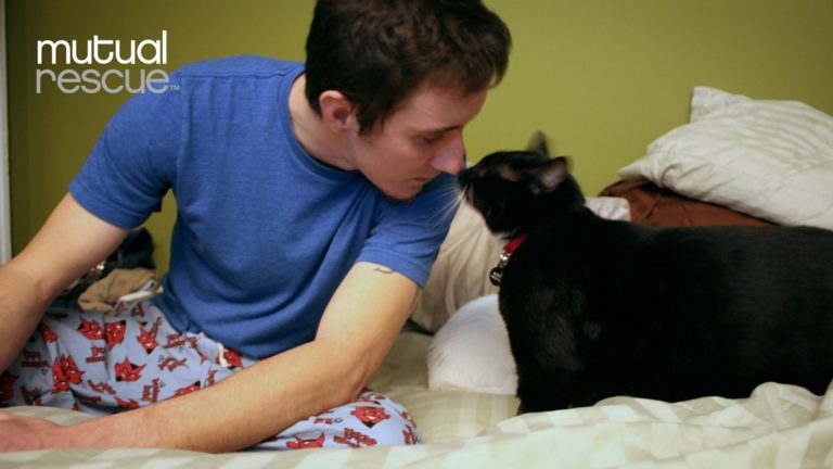 ‘Josh & Scout’ Shows Power of the Human/Cat Bond