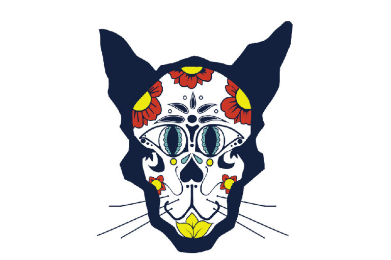 El Gato Coffeehouse Cat Cafe, Houston, Texas