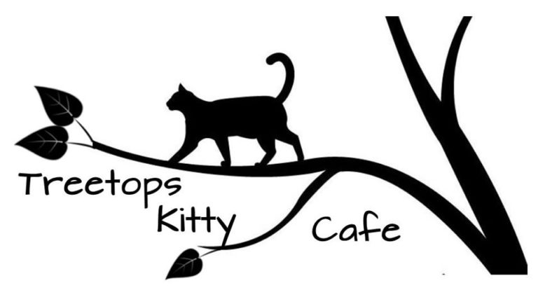TreeTops Kitty Cafe, Kennett Square, Pennsylvania