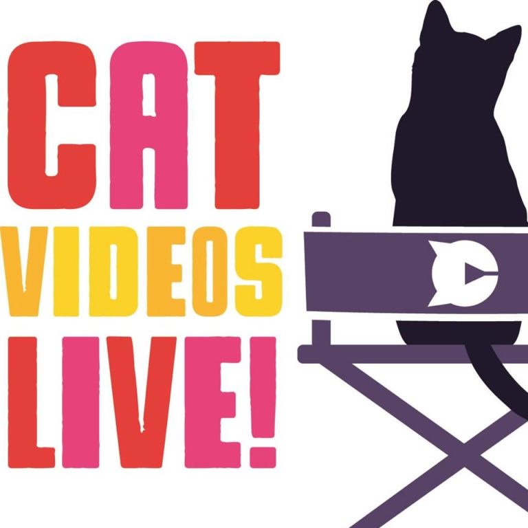 “Cat Videos Live!” Tour to Visit 70 Cities