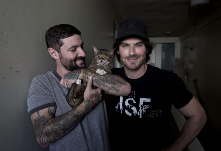 A Look Back at CatCon 2017!