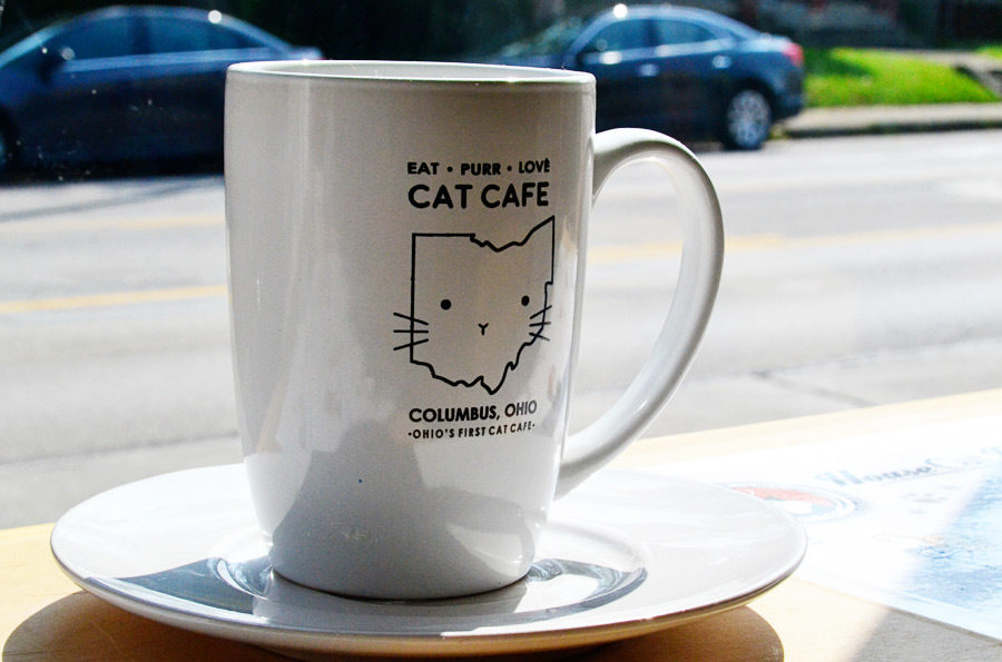 coffee mug at Eat Purr Love cat cafe