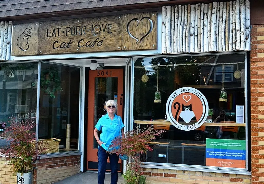 Eat Purr Love Cat Cafe, Ohio
