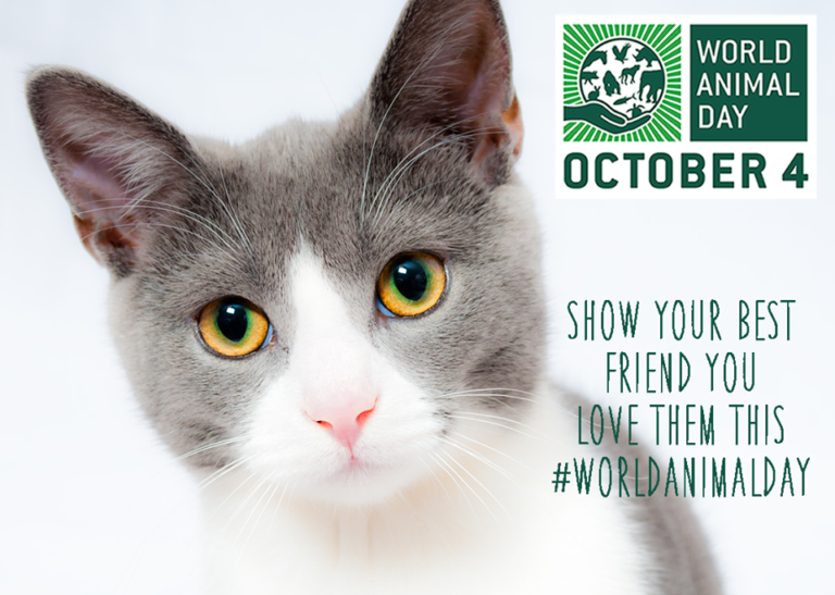 October 4 is World Animal Day